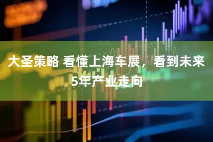 大圣策略 看懂上海车展，看到未来5年产业走向