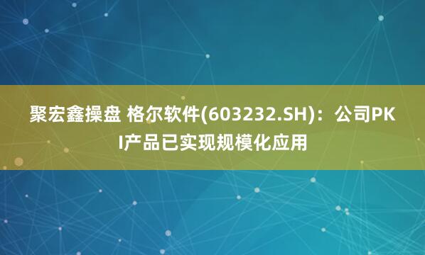 聚宏鑫操盘 格尔软件(603232.SH)：公司PKI产品已实现规模化应用