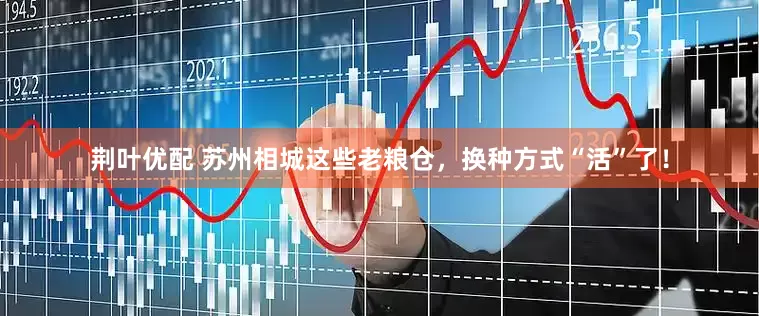 荆叶优配 苏州相城这些老粮仓，换种方式“活”了！