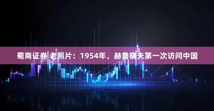 蜀商证券 老照片：1954年，赫鲁晓夫第一次访问中国