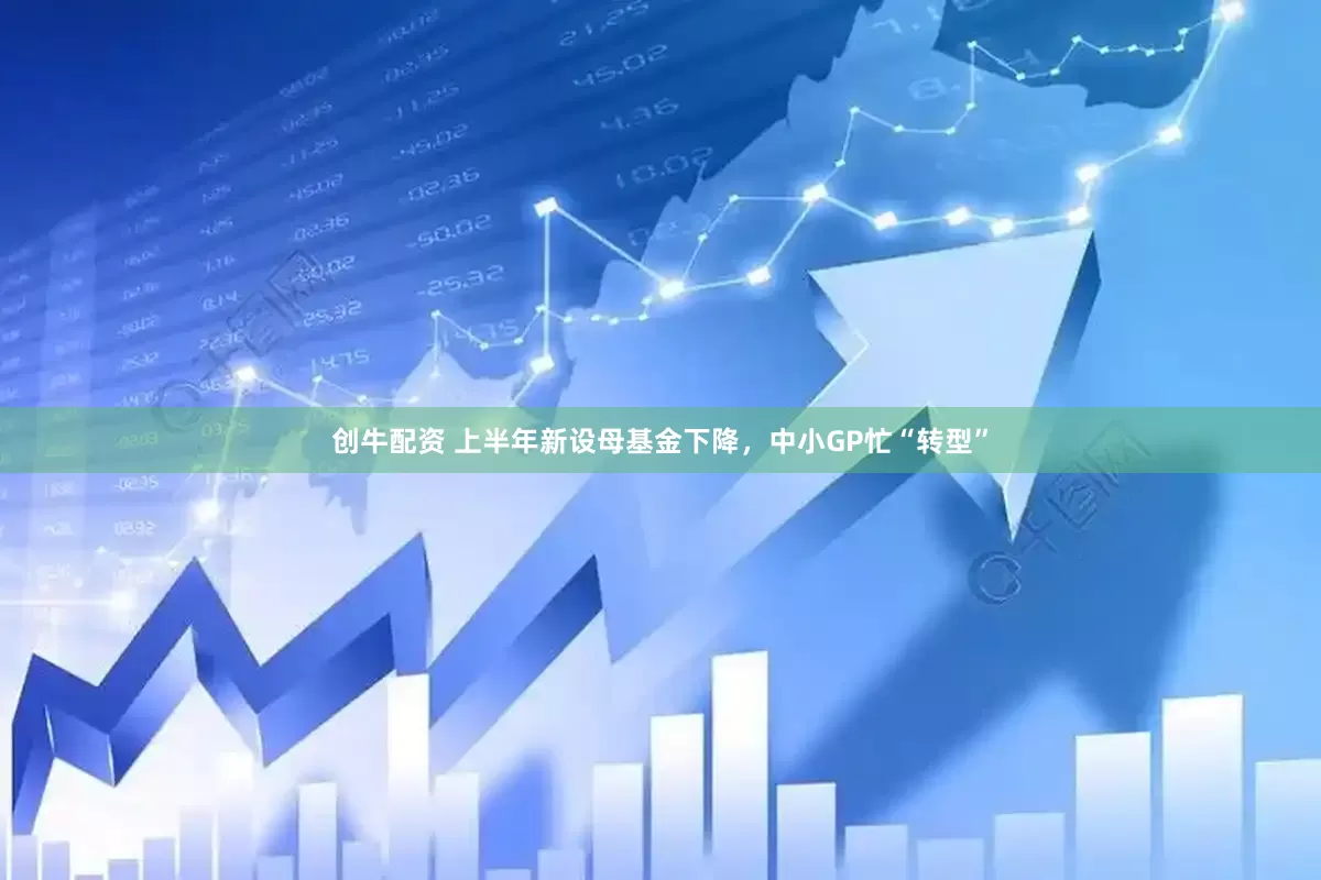 创牛配资 上半年新设母基金下降，中小GP忙“转型”