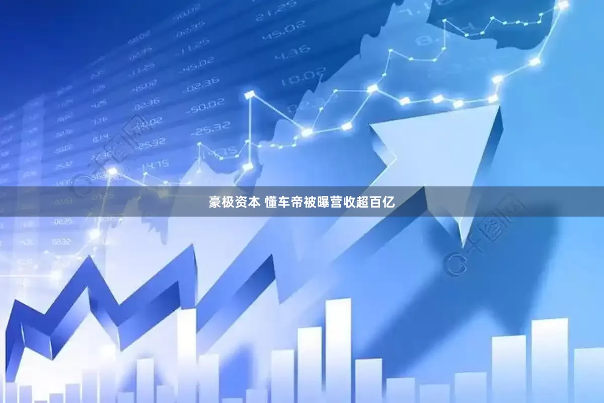 豪极资本 懂车帝被曝营收超百亿